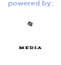 SWAT Media Group